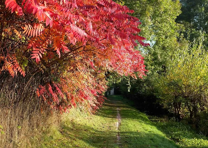 Otel La Renaissance Marigny-le-Châtel